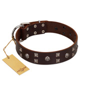 "Brown Shadow" Designer Handmade FDT Artisan Brown Leather English Bulldog Collar
