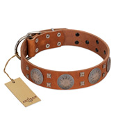 "Sun Rise Noon" FDT Artisan Tan Leather English Bulldog Collar with Unique Design
