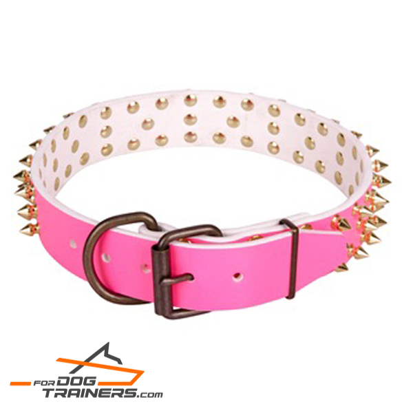 Unique pink gog collar