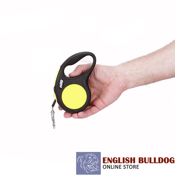 Convenient Handle on Daily walking Dog Retractable Leash
