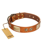 "Perfect Blend" FDT Artisan Tan Leather English Bulldog Collar 1 1/2 inch (40 mm) wide