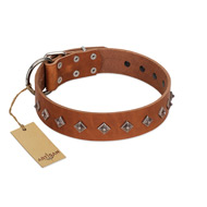 "Broadway" Handmade FDT Artisan Tan Leather English Bulldog Collar with Dotted Pyramids