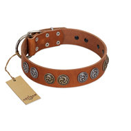 "Luxurious Life" Premium Quality FDT Artisan Tan Leather English Bulldog Collar with Round Adornments