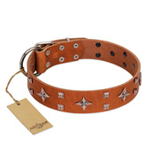 "Tawny Beauty" FDT Artisan Tan Leather English Bulldog Collar Adorned with Stars and Tiny Squares