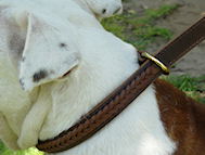 Gorgeous Wide 2 Ply Leather Choke Dog Collar - Fashion Exclusive