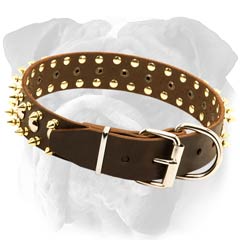 Adjustable Leather Dog Collar for English Bulldog