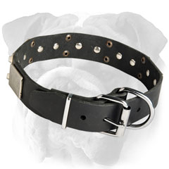 Leather Dog Collar with Plates and Studs