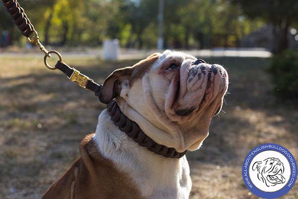 Braided Leather Dog Choke Collar with Quick Release Buckle