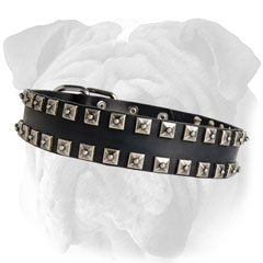 Leather Dog Collar with Studs