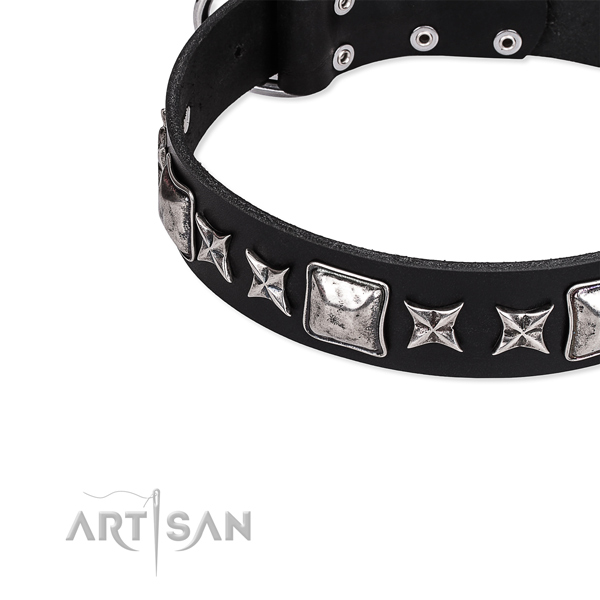 Full grain natural leather dog collar with exquisite adornments