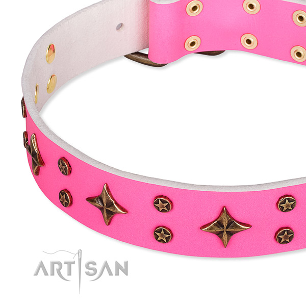 Full grain natural leather dog collar with amazing embellishments