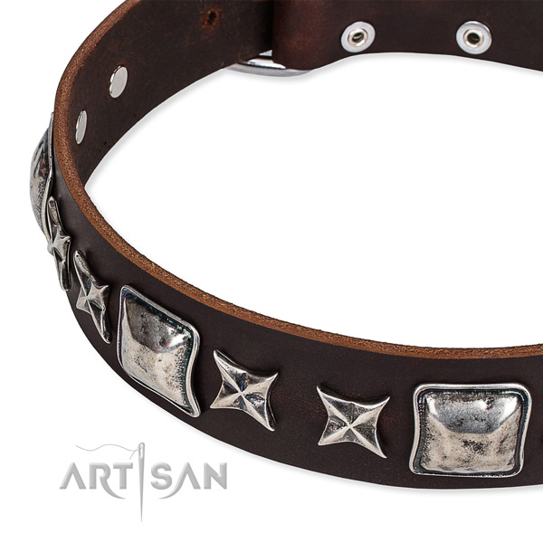 Natural genuine leather dog collar with embellishments for stylish walking