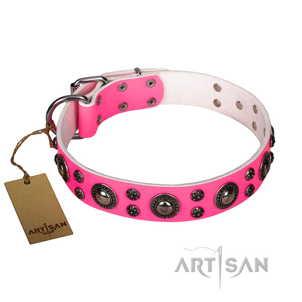 Impressive leather dog collar for walking
