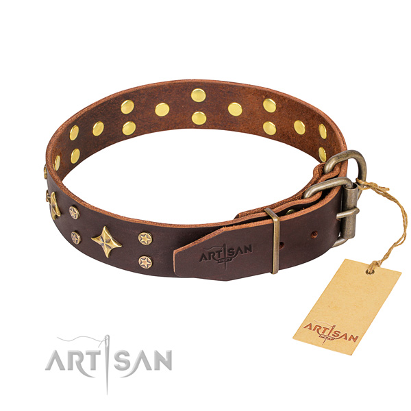 Everyday walking full grain natural leather collar with adornments for your doggie