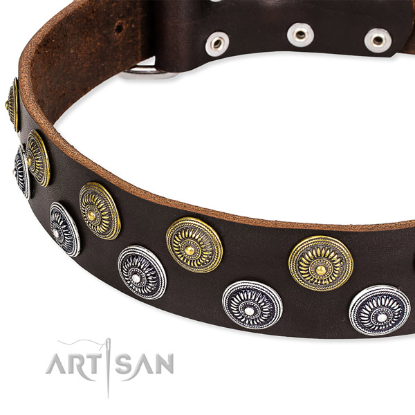 Genuine leather dog collar with fashionable adornments