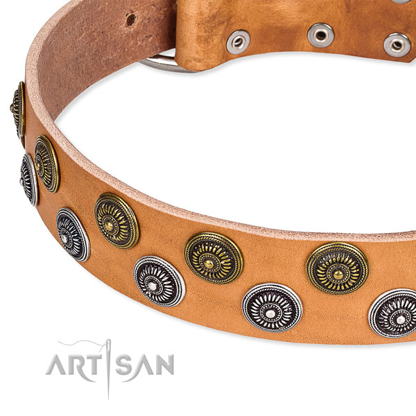 Genuine leather dog collar with fashionable adornments