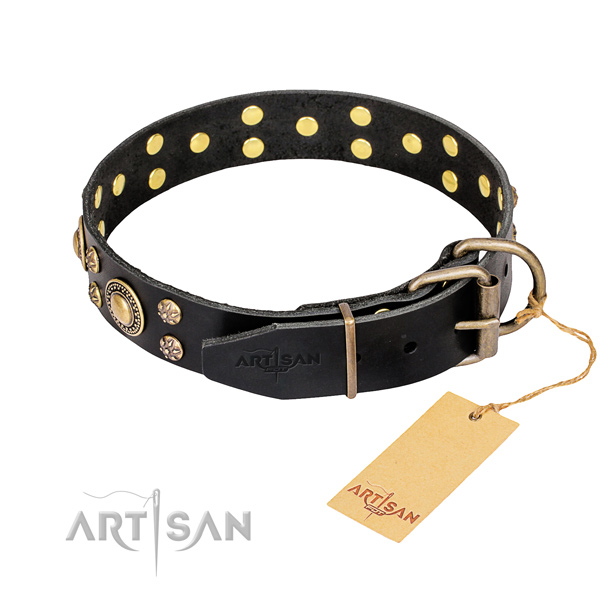 Everyday walking full grain leather collar with decorations for your pet