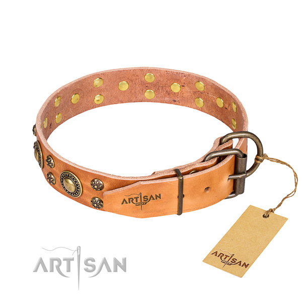 Stylish walking leather collar with decorations for your four-legged friend