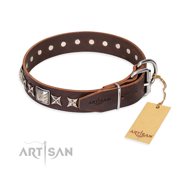 Stylish walking leather collar with embellishments for your canine