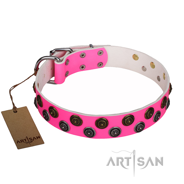 Daily walking full grain genuine leather collar with studs for your four-legged friend