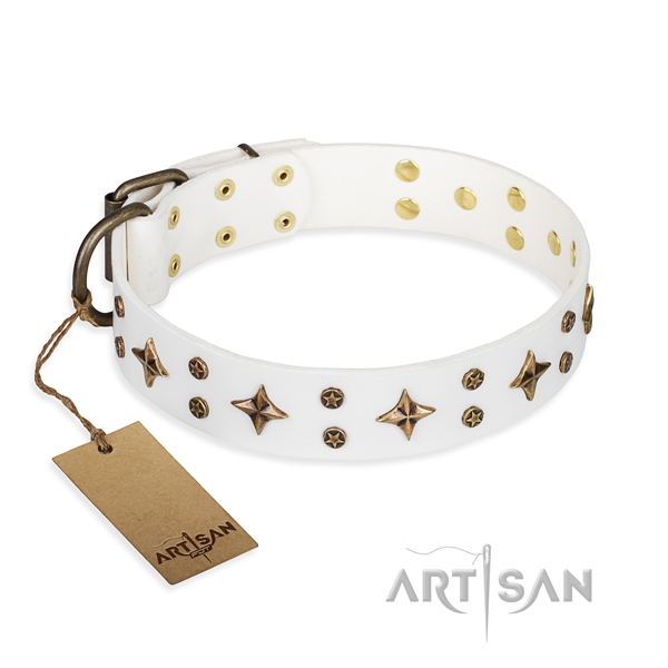 Top notch leather dog collar for daily walking