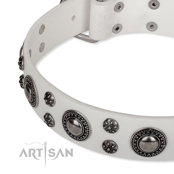 Daily use genuine leather collar with corrosion resistant buckle and D-ring