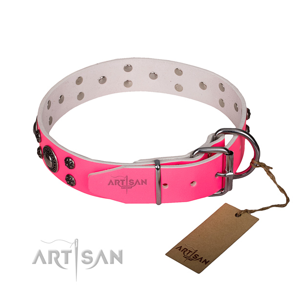 Everyday walking full grain natural leather collar with strong buckle and D-ring