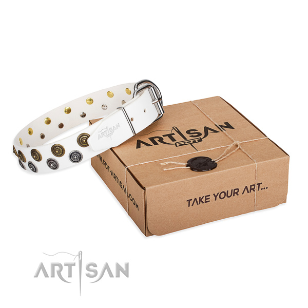 Leather dog collar with embellishments for everyday walking