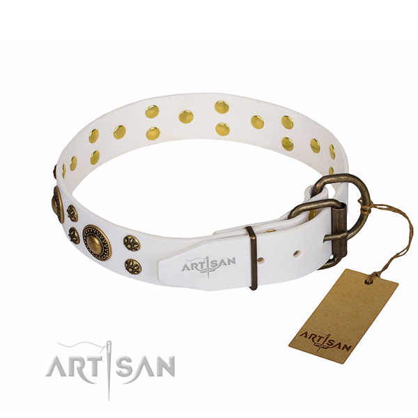 Significant genuine leather dog collar for daily walking