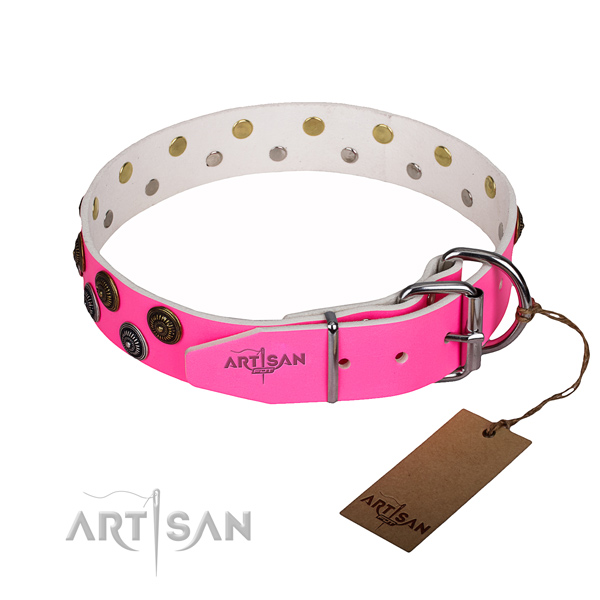 Inimitable full grain leather dog collar for walking