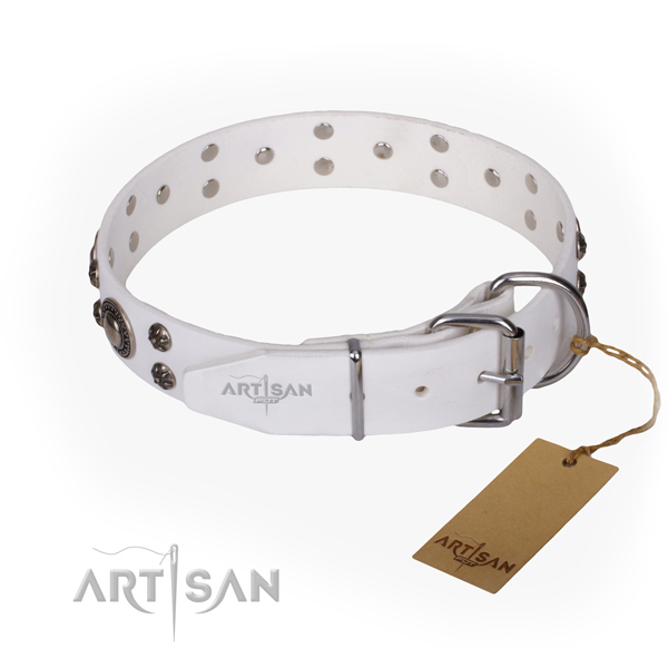 Everyday walking full grain leather collar with adornments for your four-legged friend