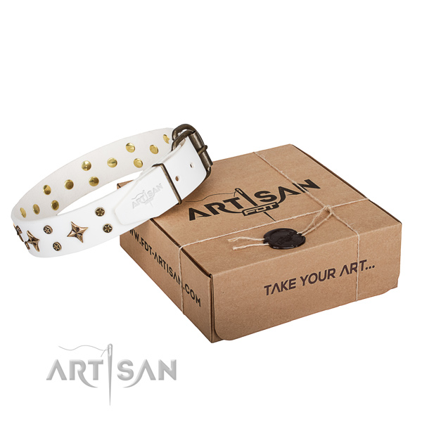 Decorated full grain genuine leather dog collar for everyday walking
