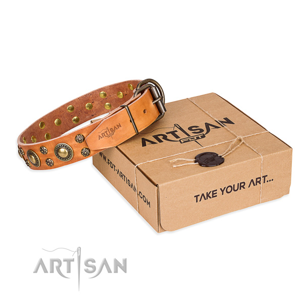 Full grain leather dog collar with adornments for daily use