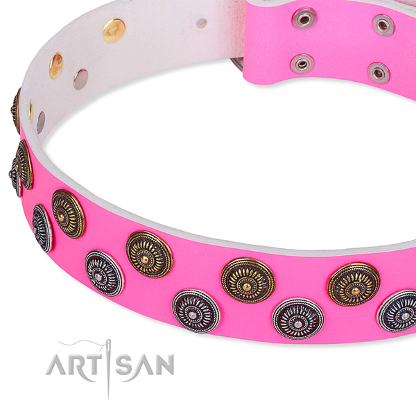 Full grain leather dog collar with top notch decorations