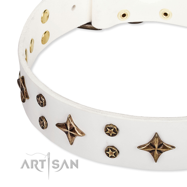Full grain natural leather dog collar with impressive decorations