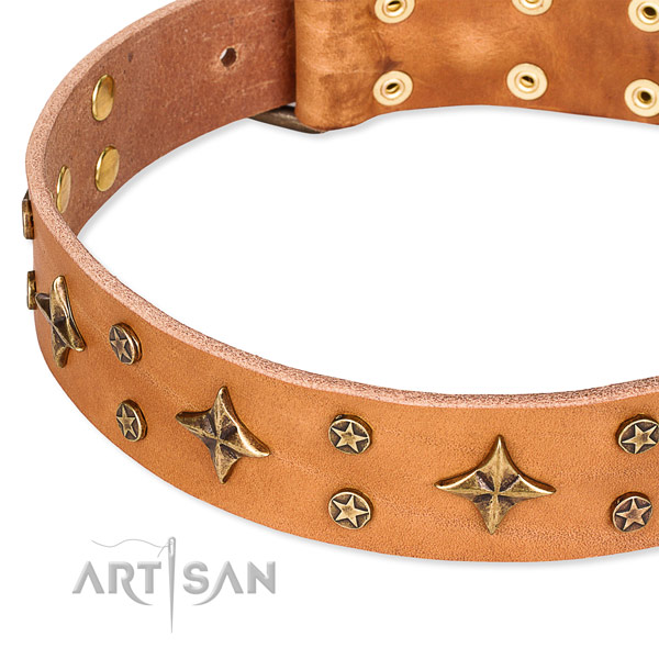 Full grain genuine leather dog collar with inimitable studs
