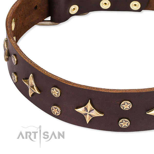 Full grain genuine leather dog collar with awesome adornments