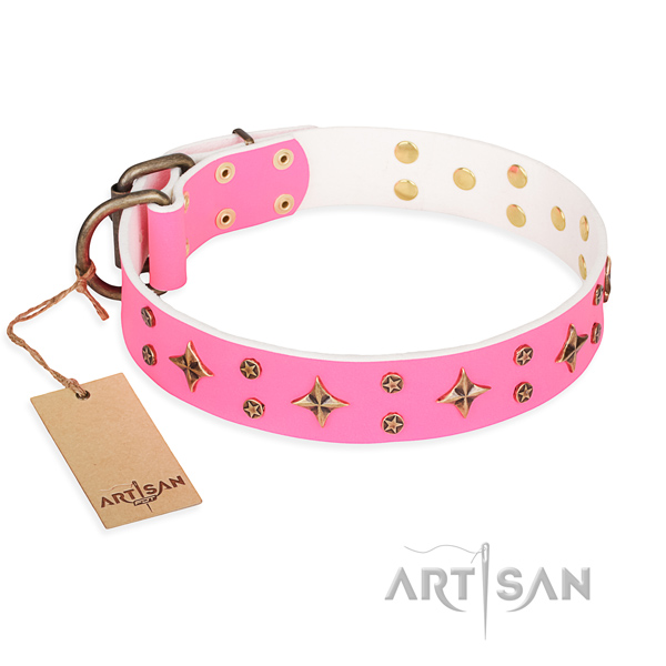 Amazing full grain leather dog collar for daily use