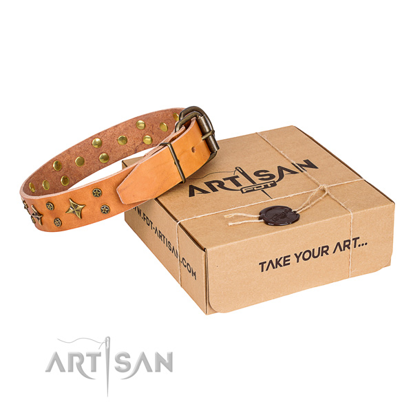 Decorated full grain natural leather dog collar for daily walking