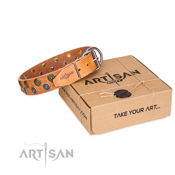 Leather dog collar with decorations for walking