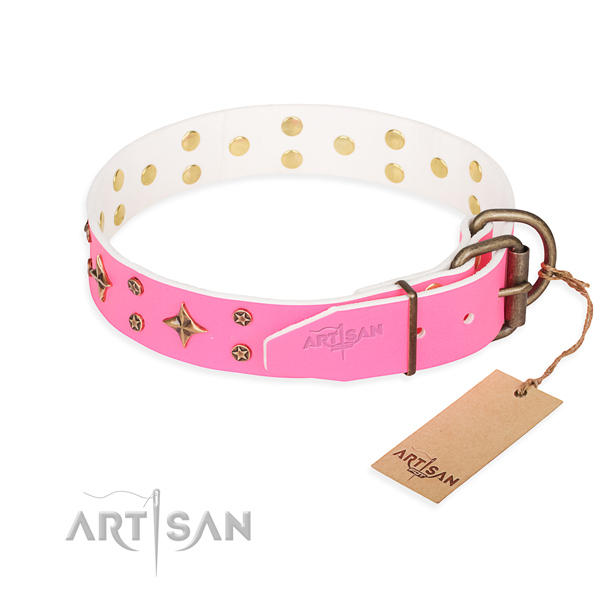 Everyday walking full grain natural leather collar with decorations for your dog