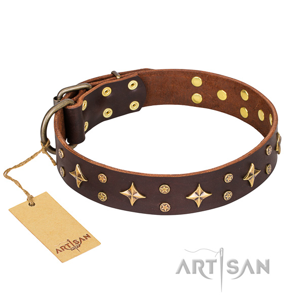 Top notch full grain leather dog collar for walking