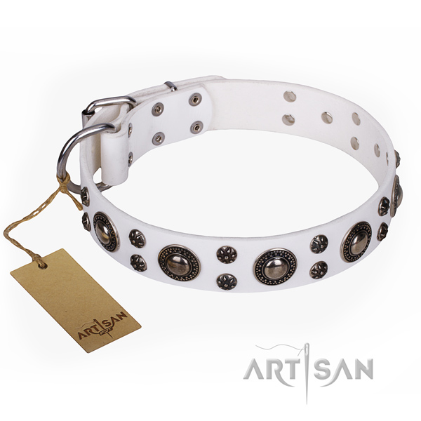 Stunning full grain leather dog collar for stylish walking