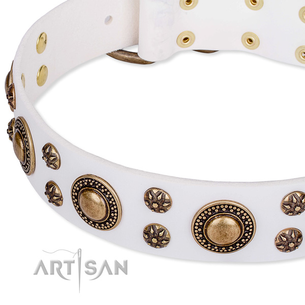 Leather dog collar with stunning studs
