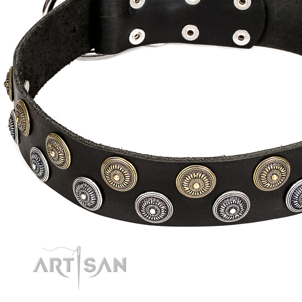 Natural genuine leather dog collar with extraordinary  embellishments