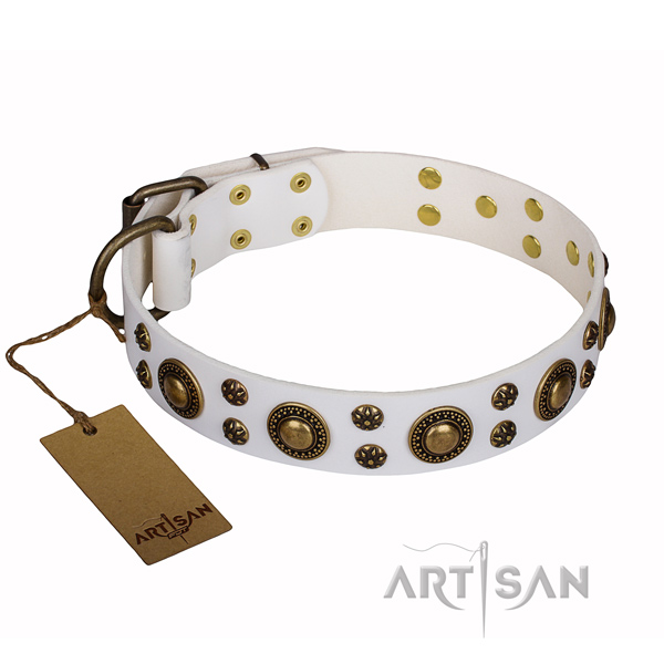 Everyday use full grain leather collar with embellishments for your pet