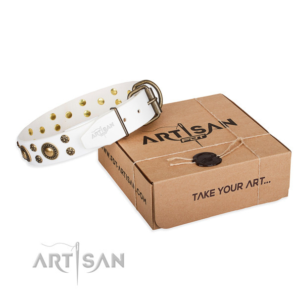 Genuine leather dog collar with studs for stylish walking
