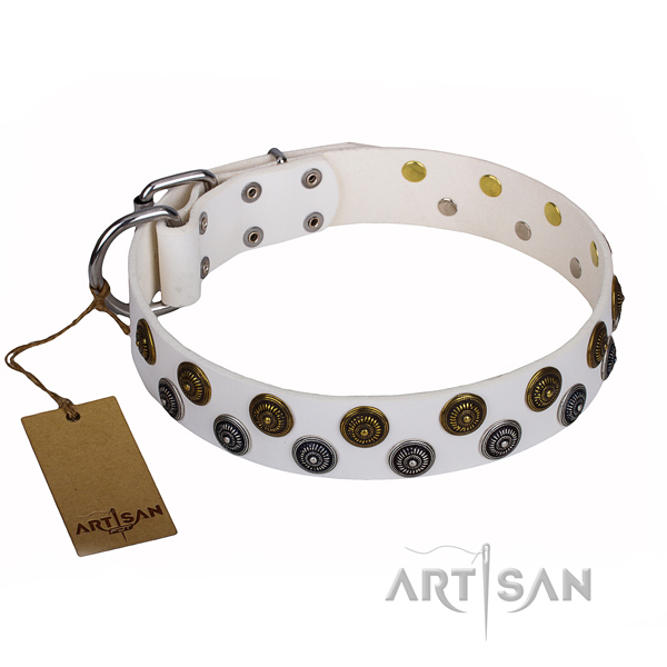 Top notch full grain natural leather dog collar for everyday use