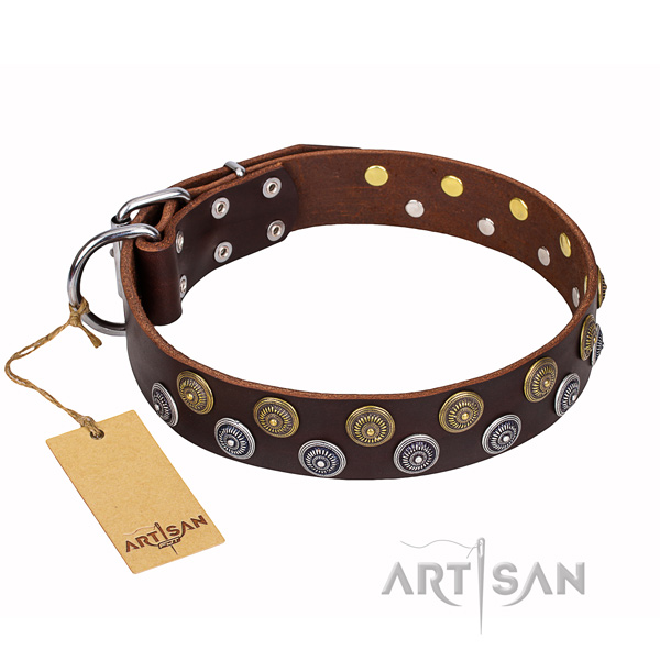 Extraordinary full grain genuine leather dog collar for daily use