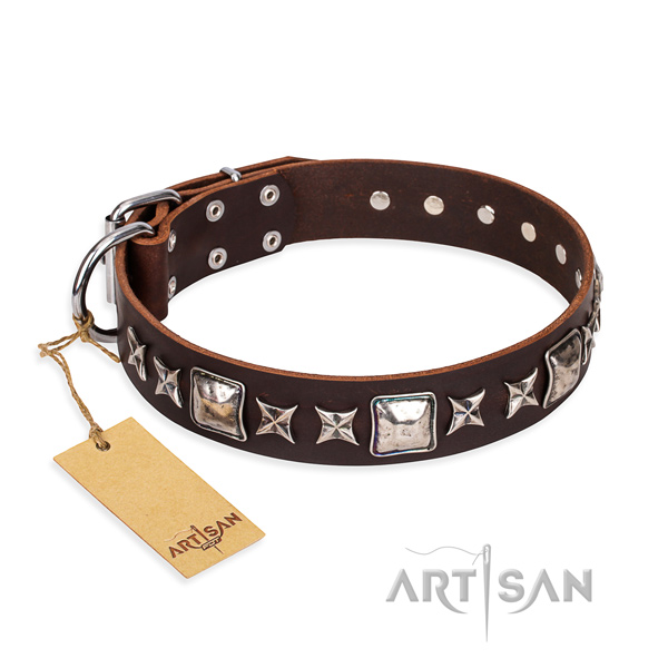 Significant full grain genuine leather dog collar for walking